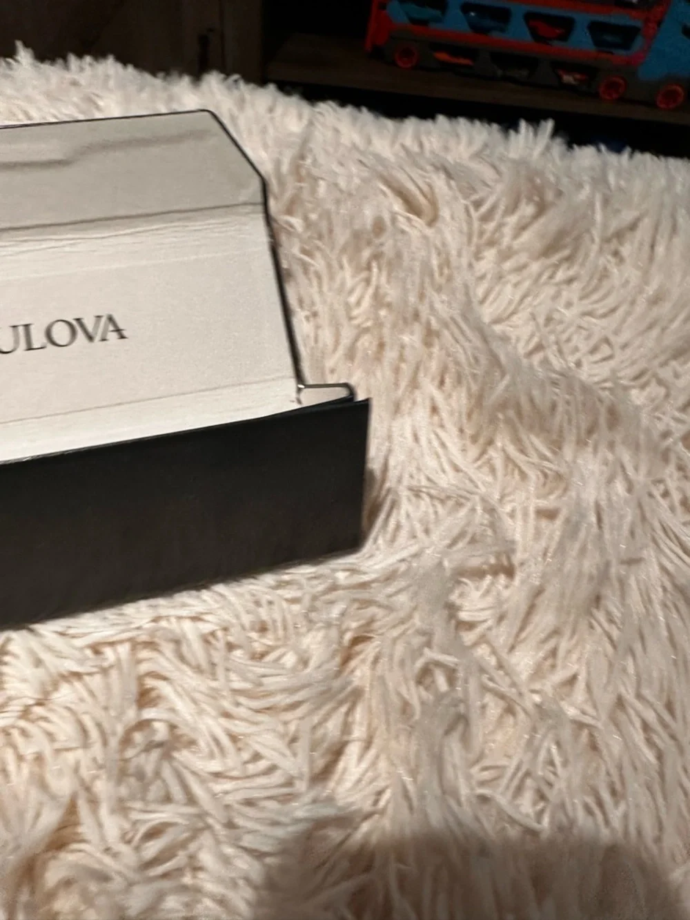 Bulova Black glasses Storage